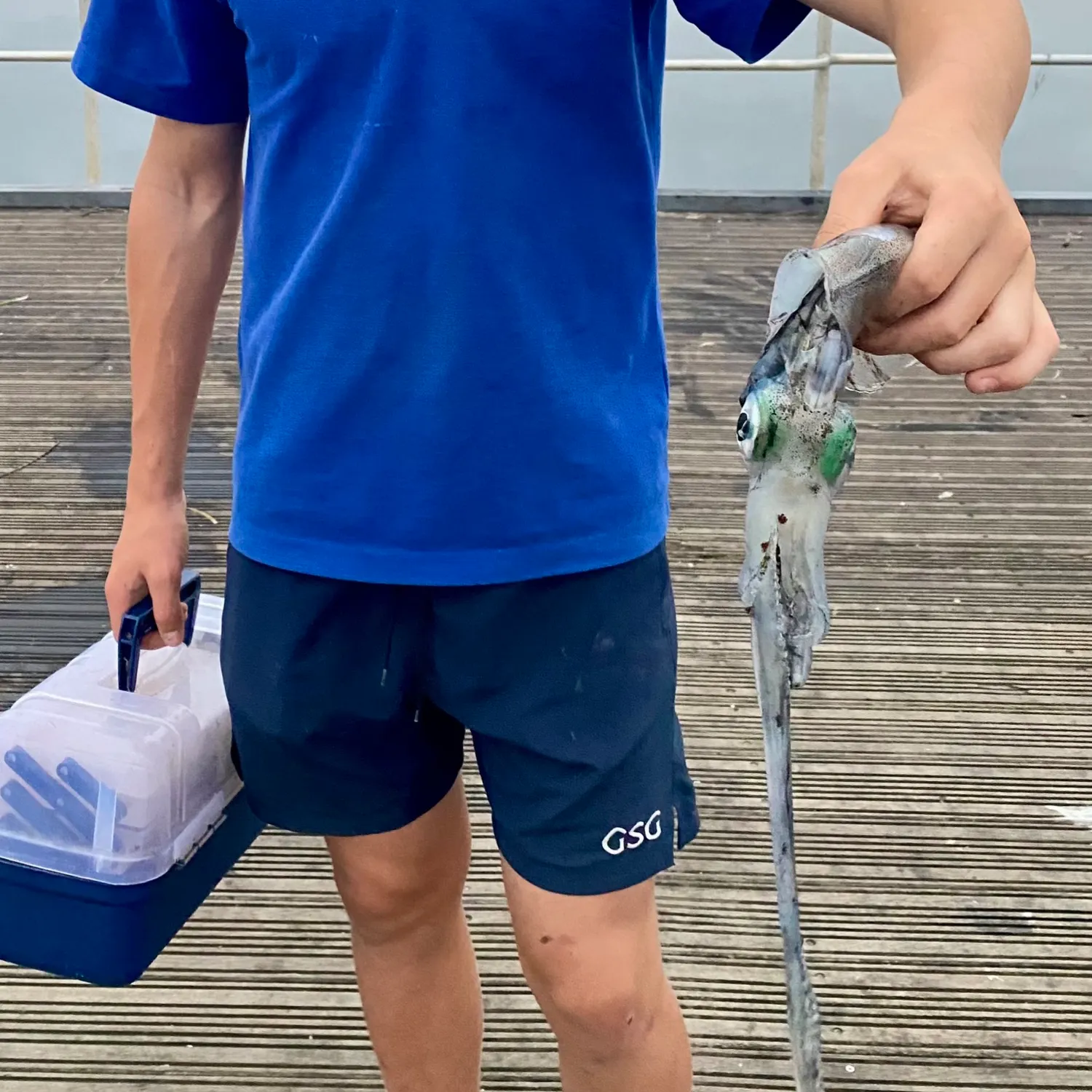 Southern calamari caught on Fishbrain