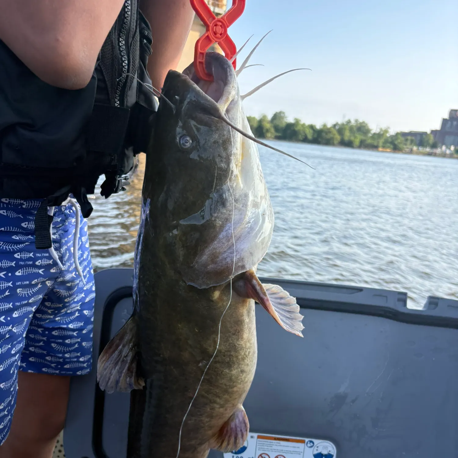 catch