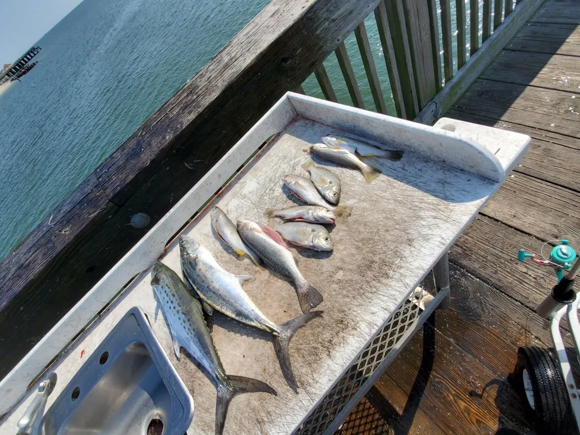 Post image from rauljaramillo