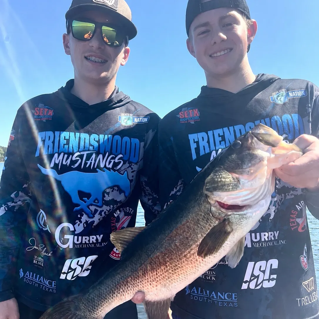 Largemouth bass caught on Fishbrain