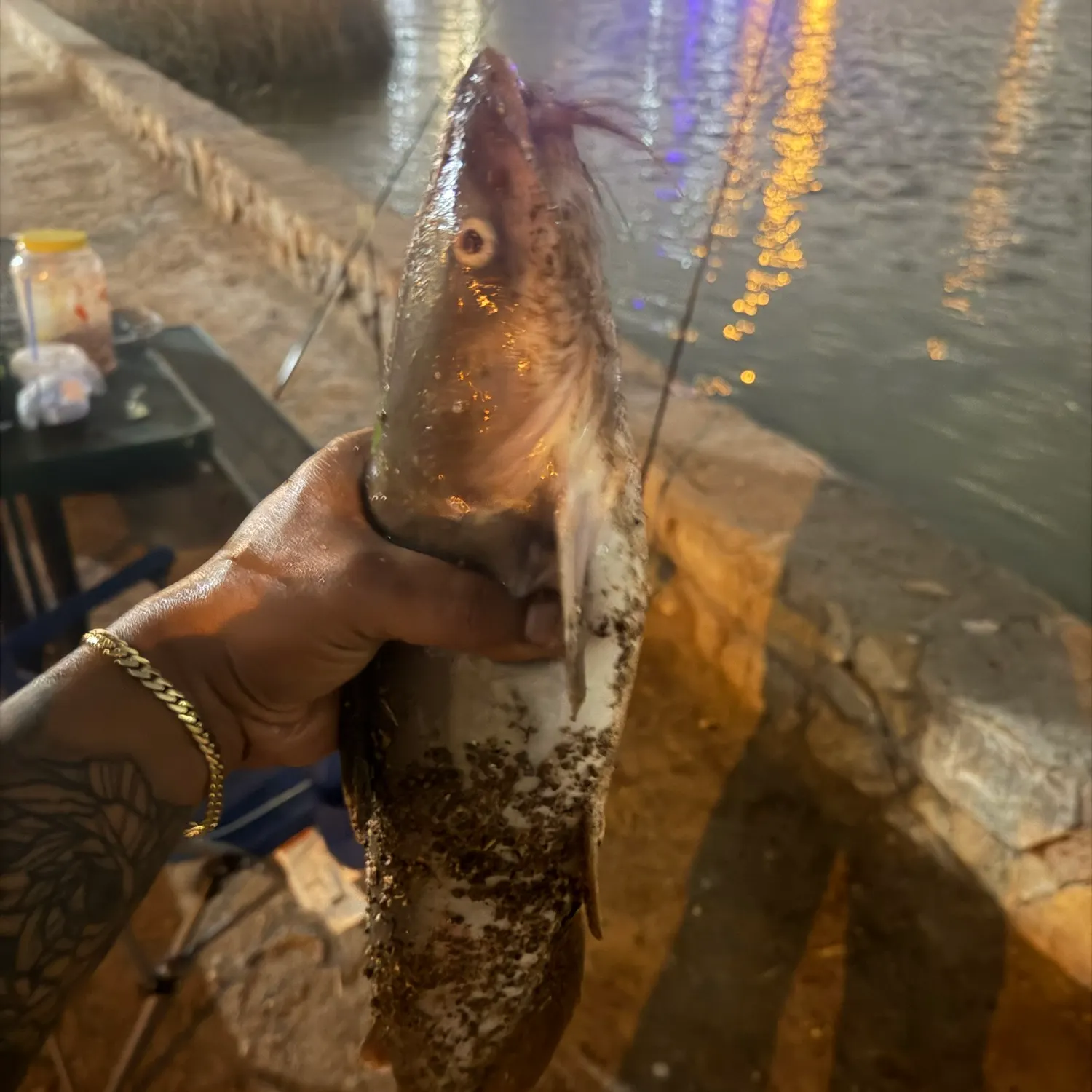 catch