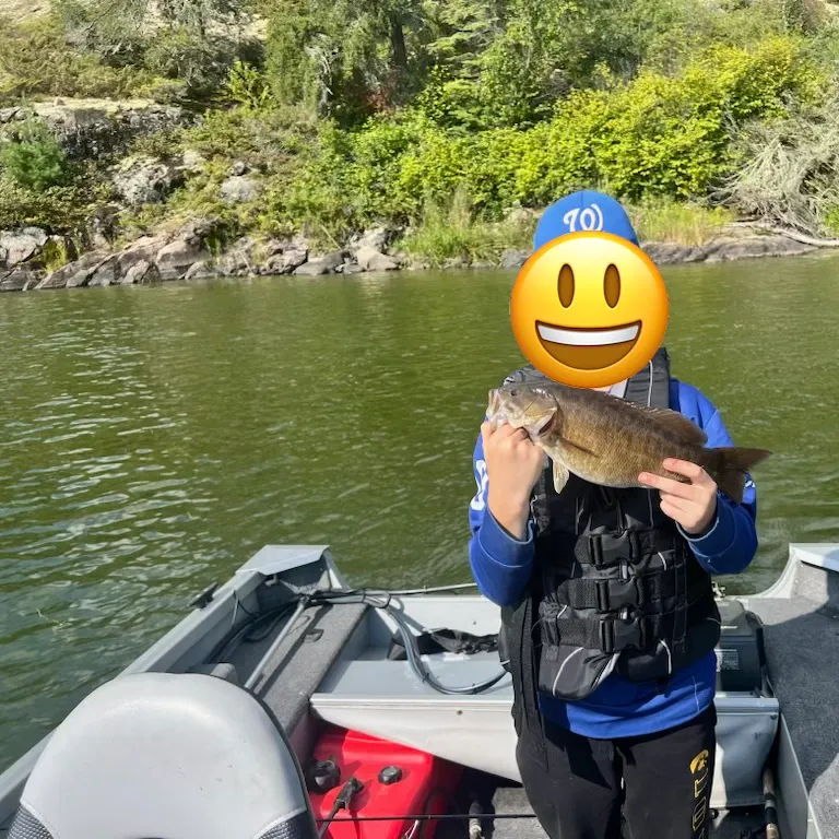 Smallmouth bass caught on Fishbrain