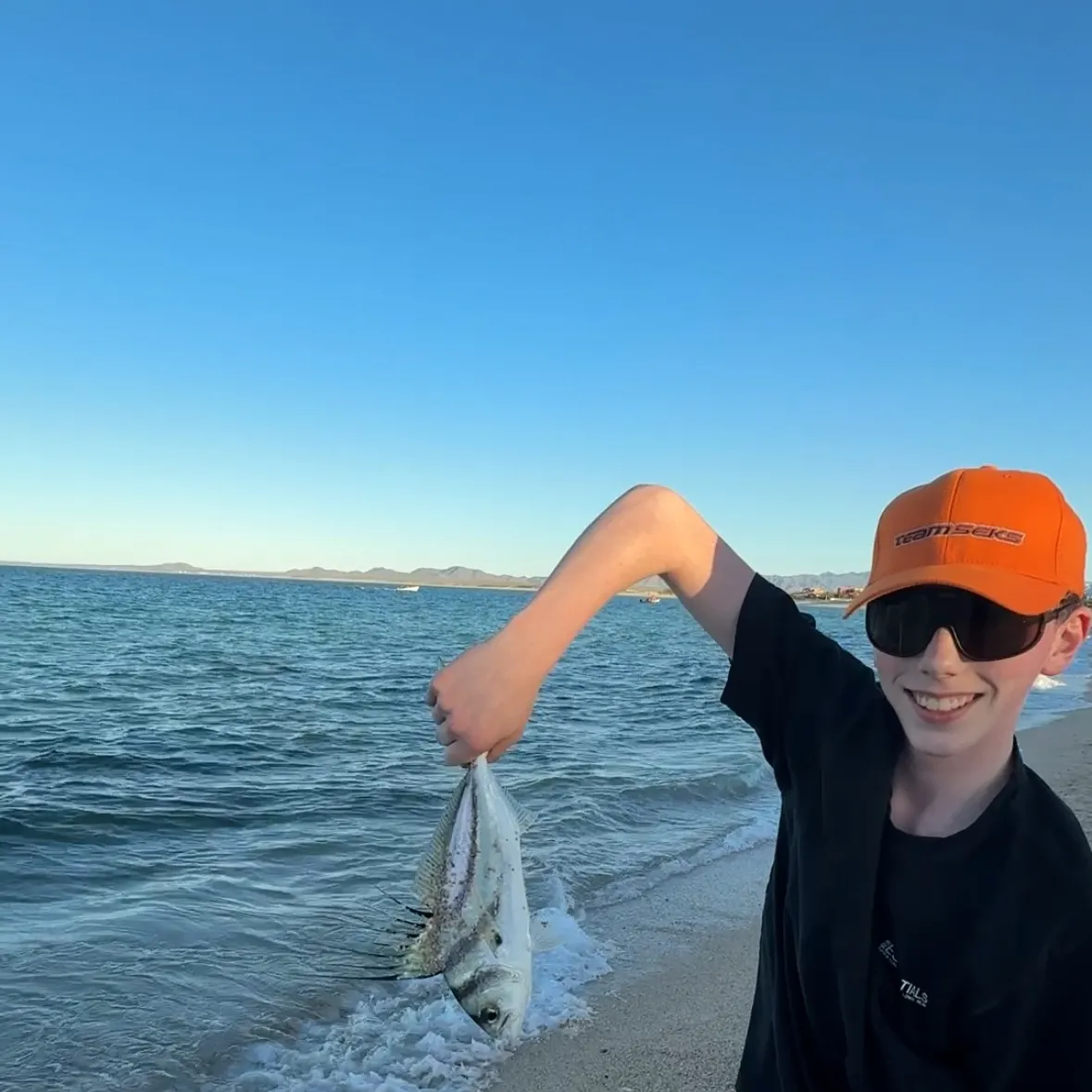 The most recent Roosterfish catches on Fishbrain