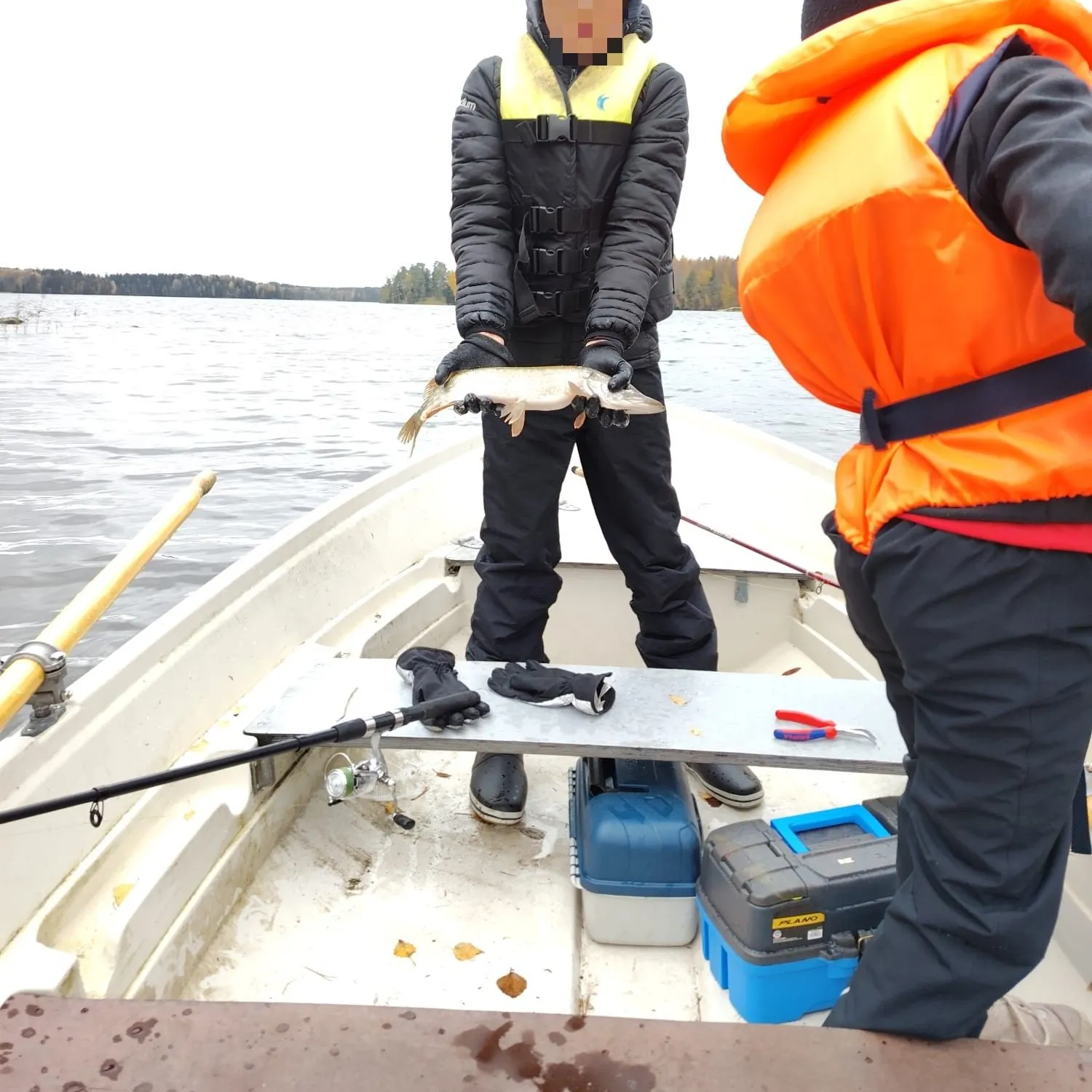 Northern pike caught on Fishbrain
