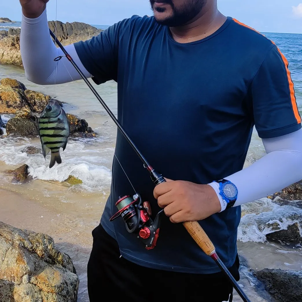 most liked catch image
