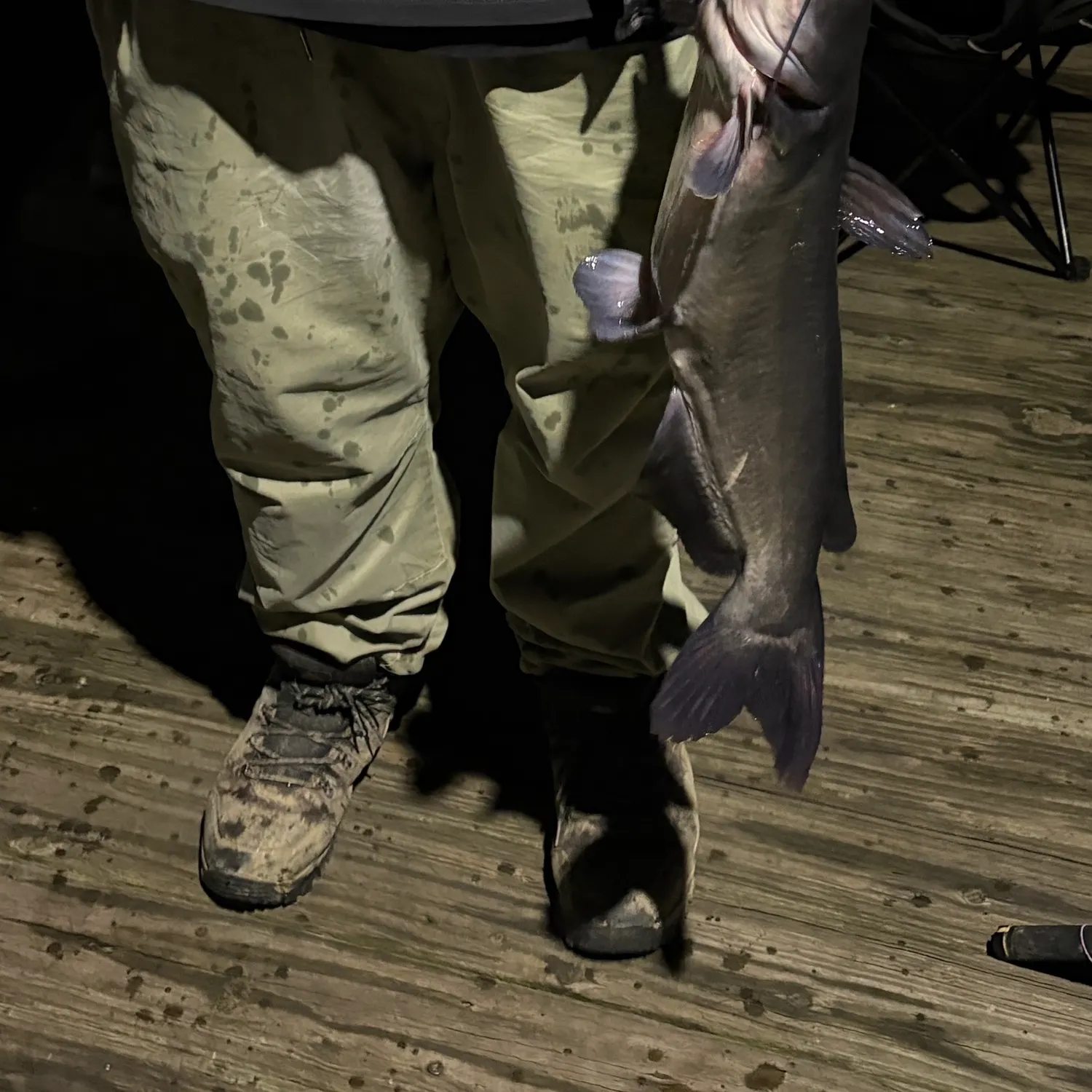 Channel catfish caught on Fishbrain