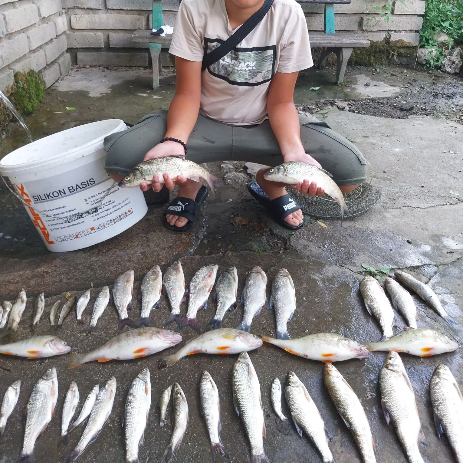 The most recent European chub catches on Fishbrain