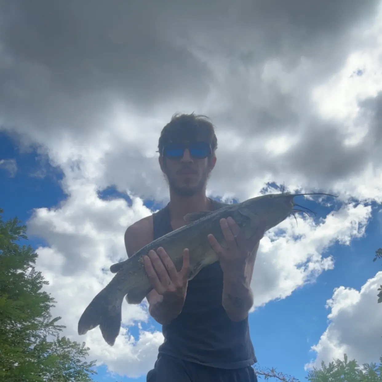 Channel catfish caught on Fishbrain