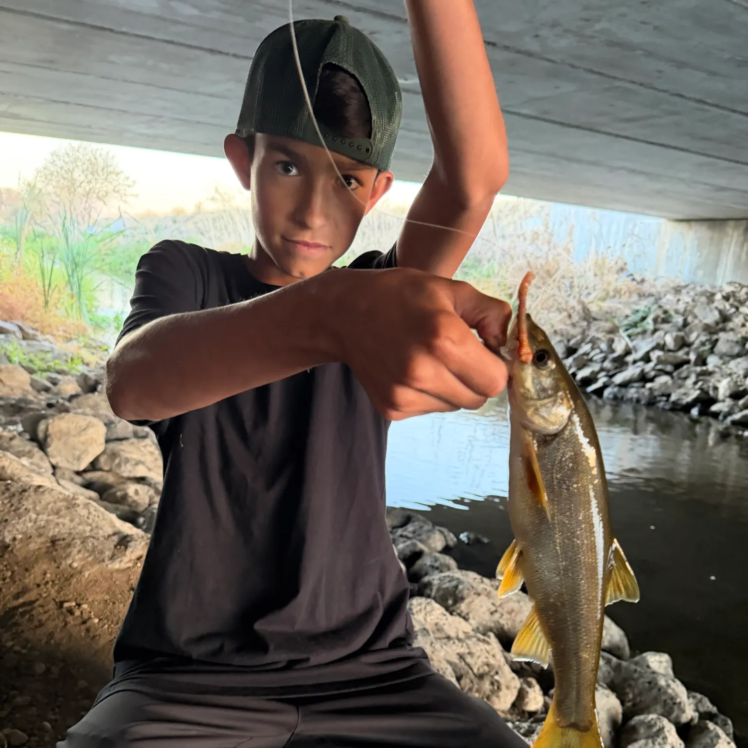 Northern pikeminnow caught on Fishbrain