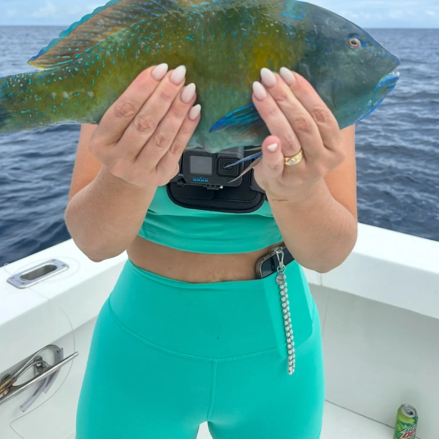 The most recent Puddingwife wrasse catches on Fishbrain