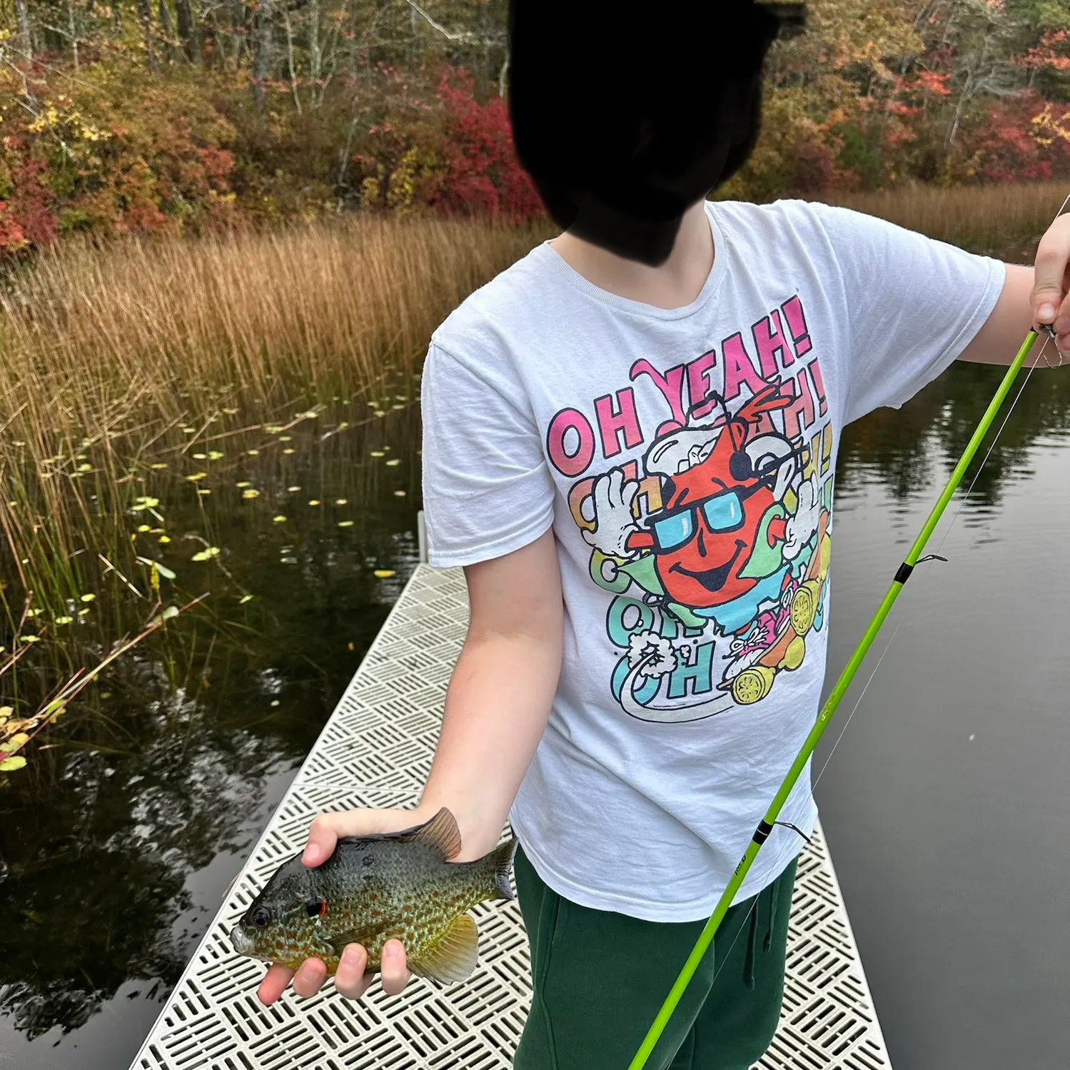 Bluegill caught on Fishbrain
