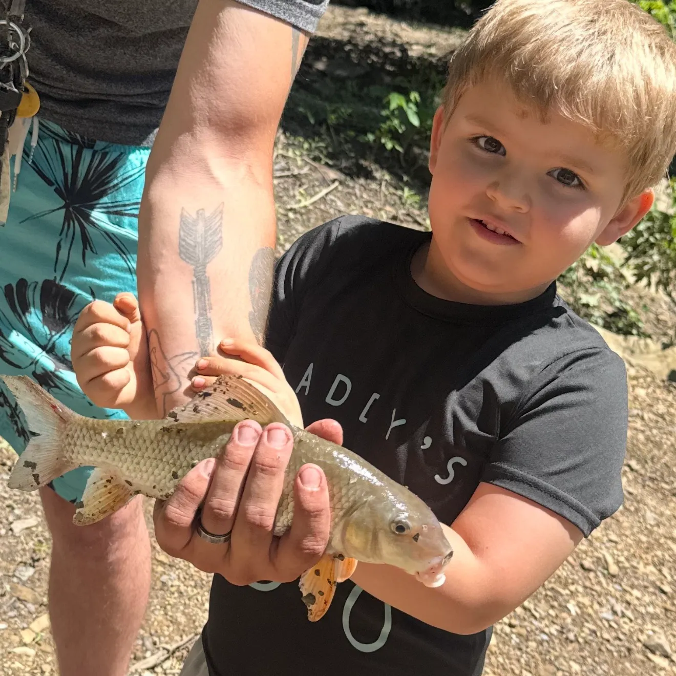 The most recent Silver redhorse catches on Fishbrain