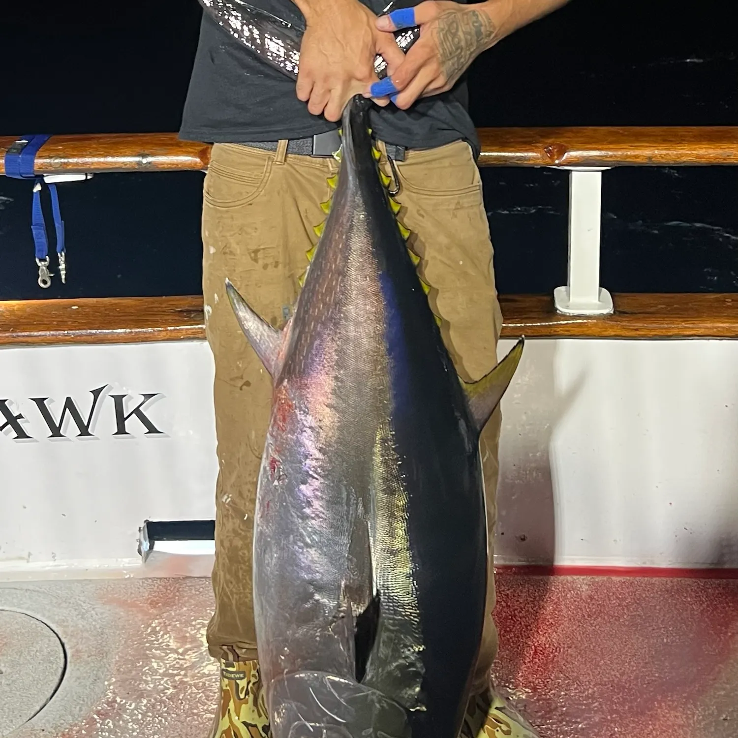 Southern bluefin tuna caught on Fishbrain