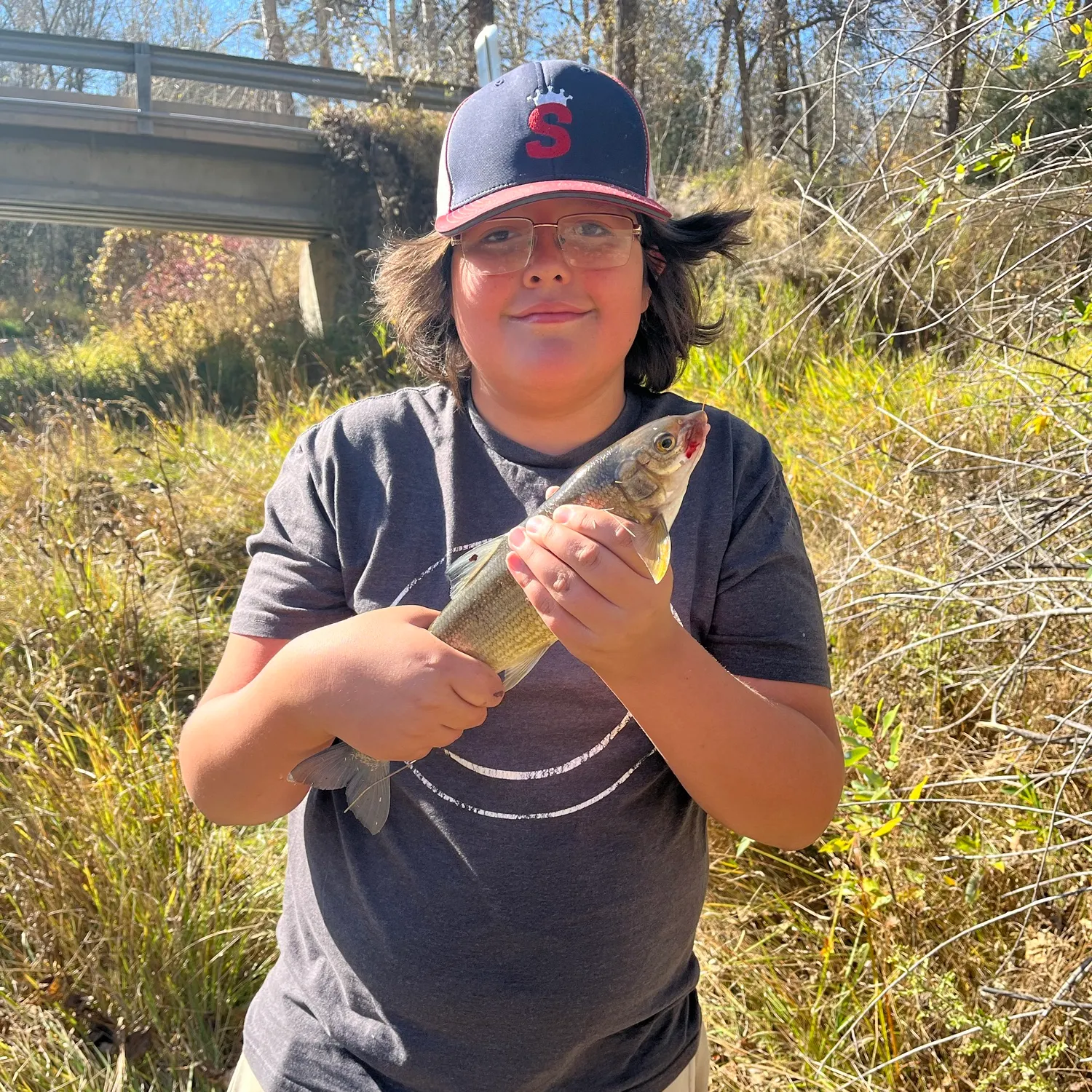 Mountain whitefish caught on Fishbrain