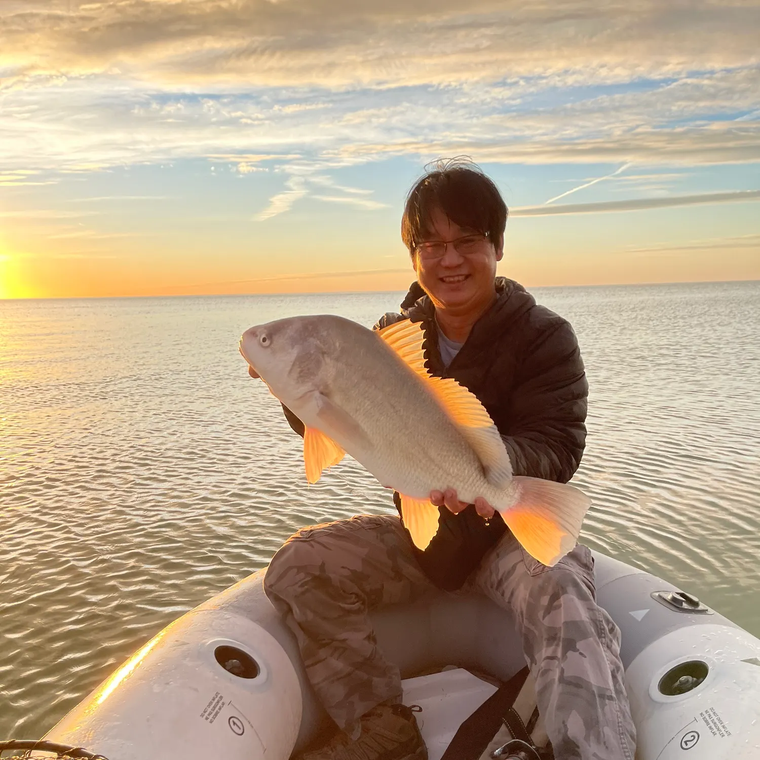 Freshwater drum caught on Fishbrain