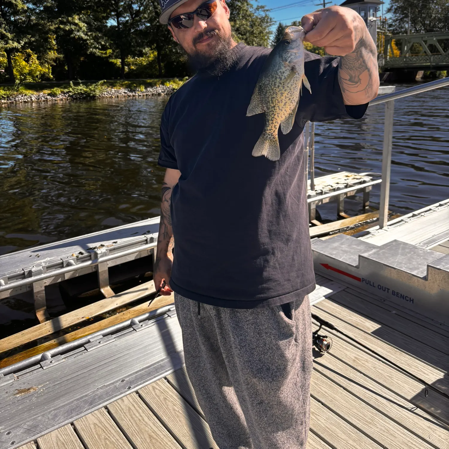 Black crappie caught on Fishbrain