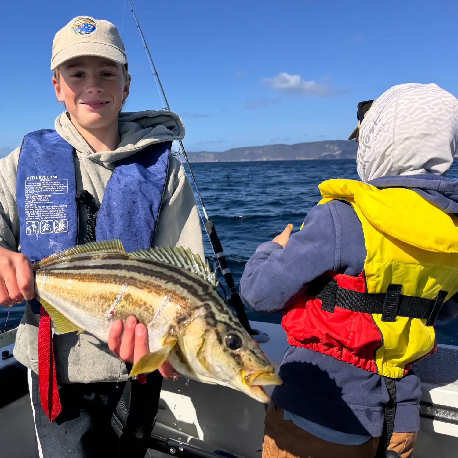 The most recent Striped trumpeter catches on Fishbrain