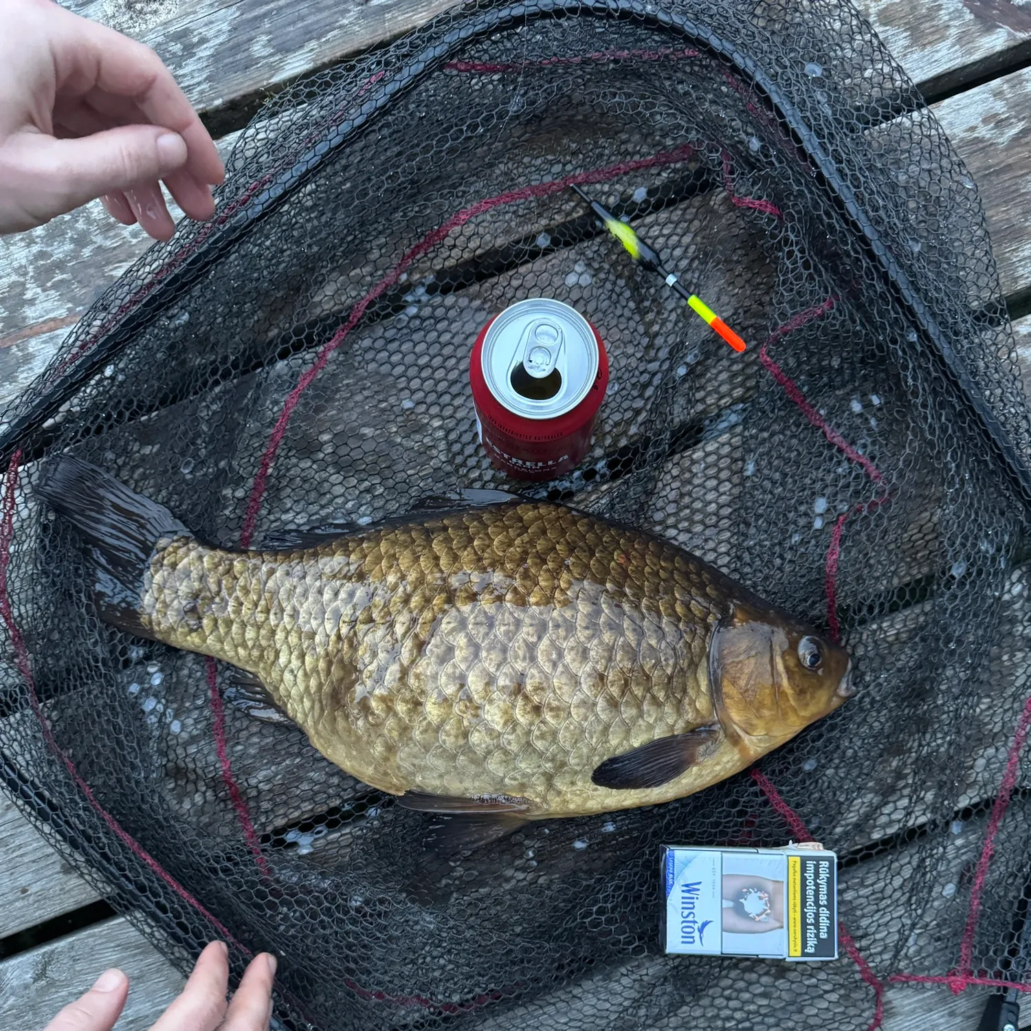 recently logged catches