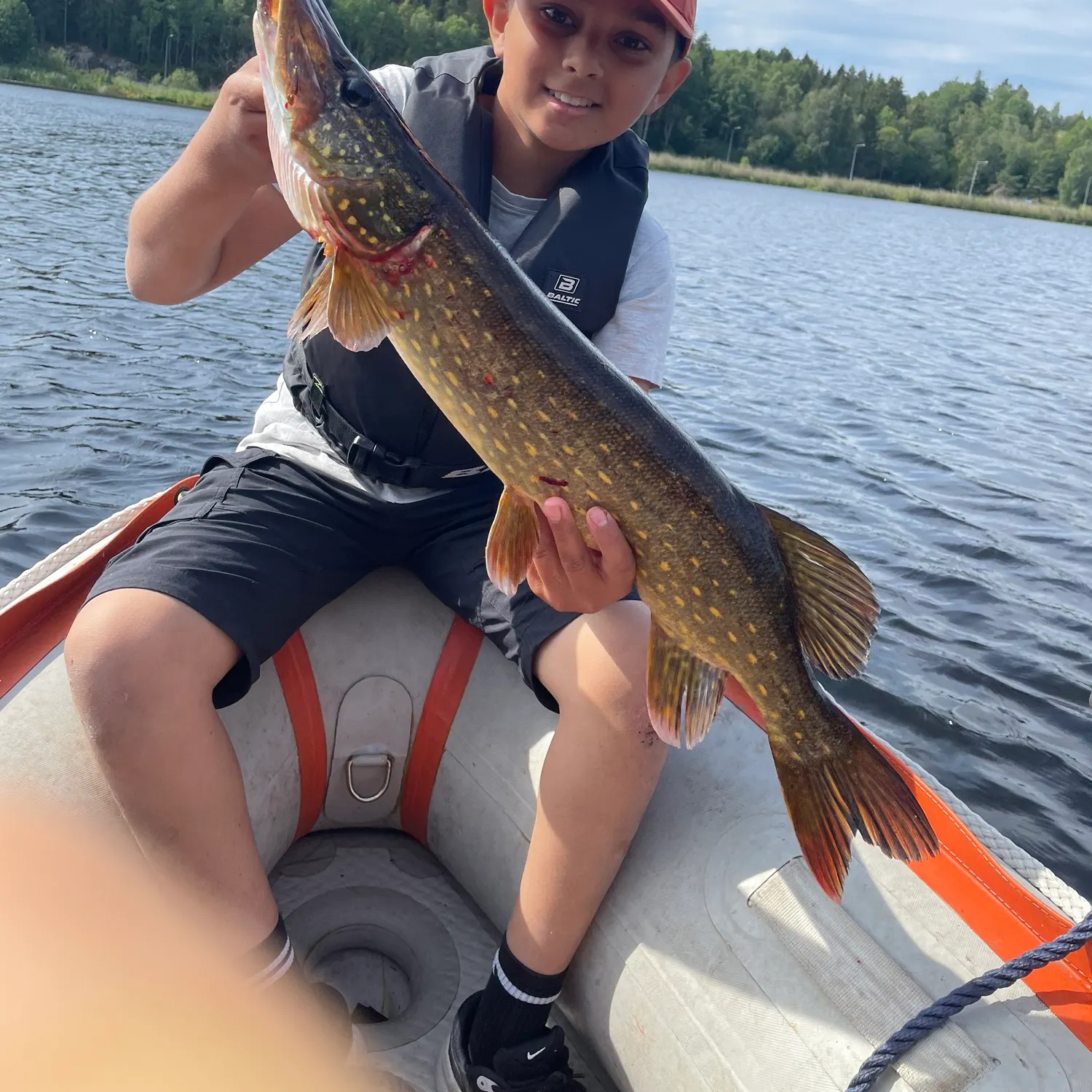 Northern pike caught on Fishbrain