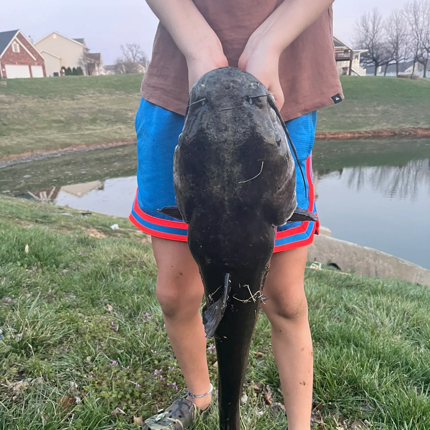 The most recent Flathead catfish catches on Fishbrain
