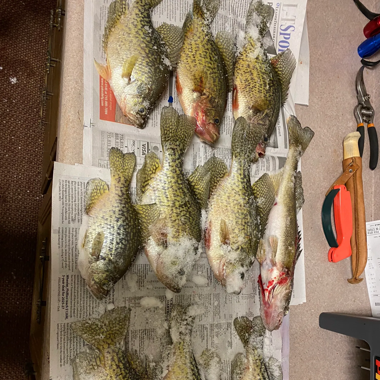 recently logged catches