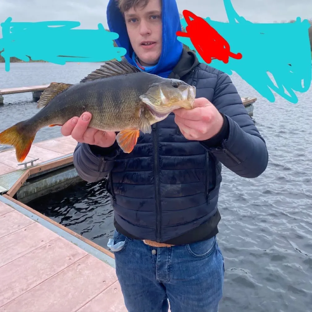 Fish caught on Fishbrain