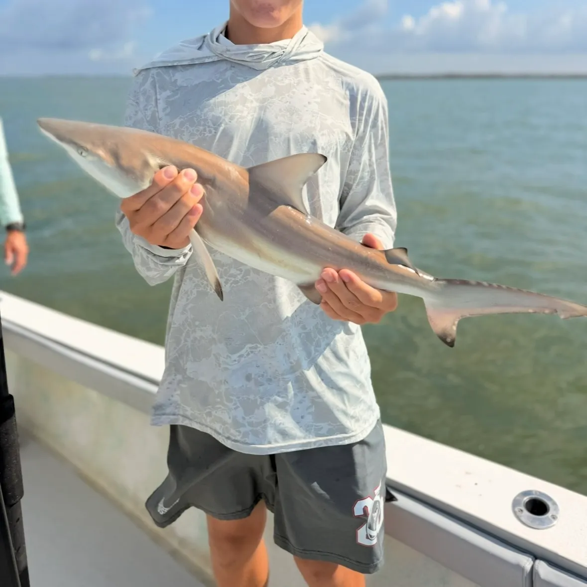 The most recent Blacktip shark catches on Fishbrain