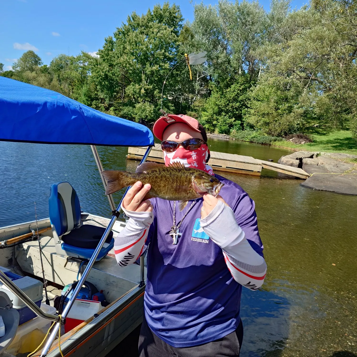 Smallmouth bass caught on Fishbrain