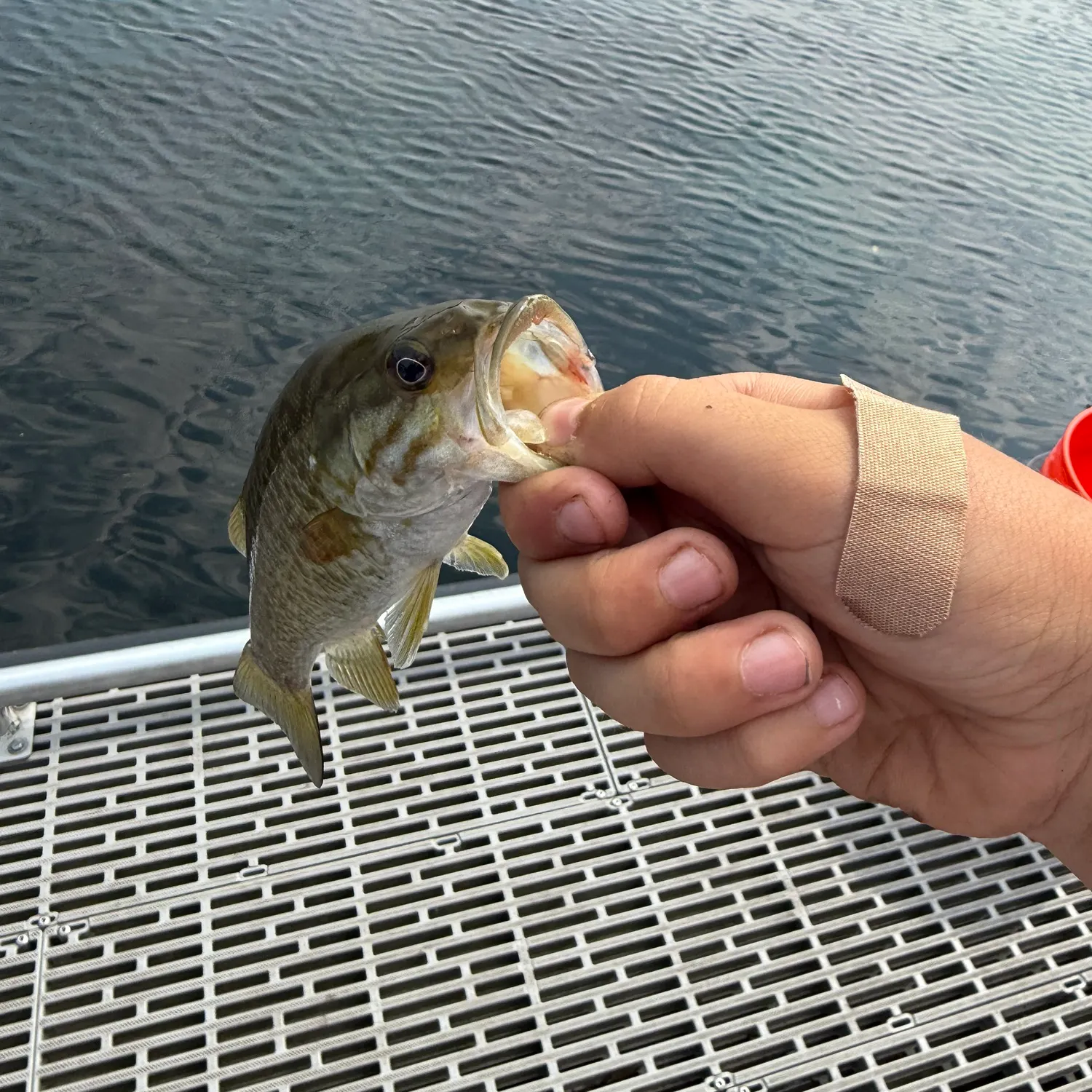 catch