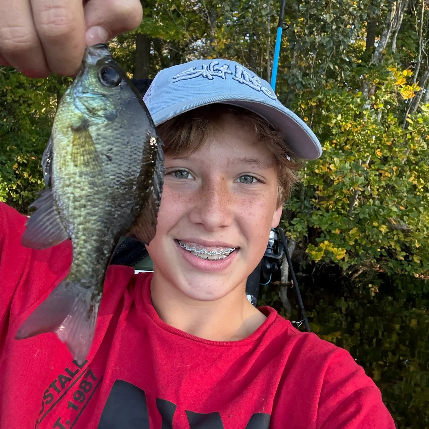 Bluegill caught on Fishbrain
