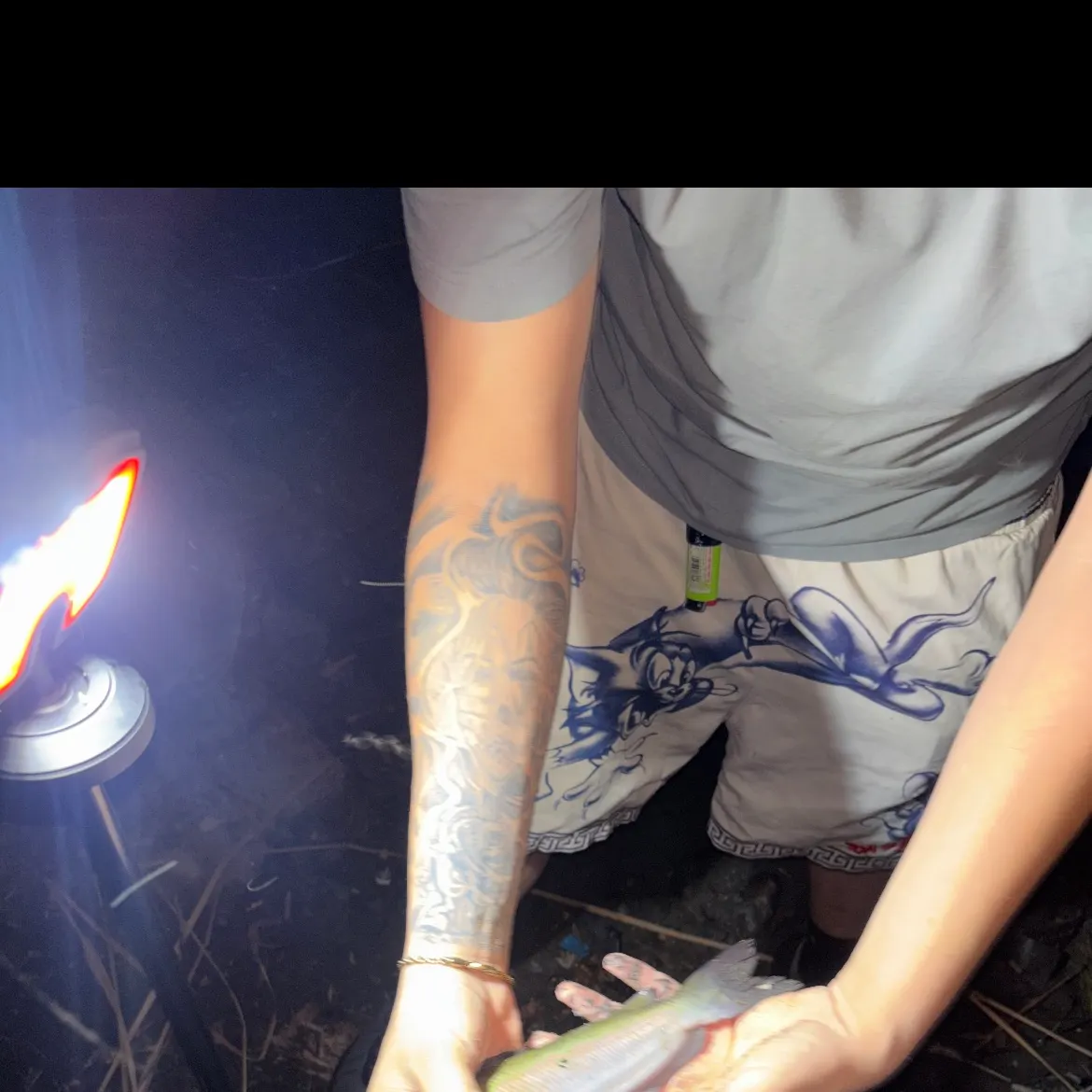Channel catfish caught on Fishbrain