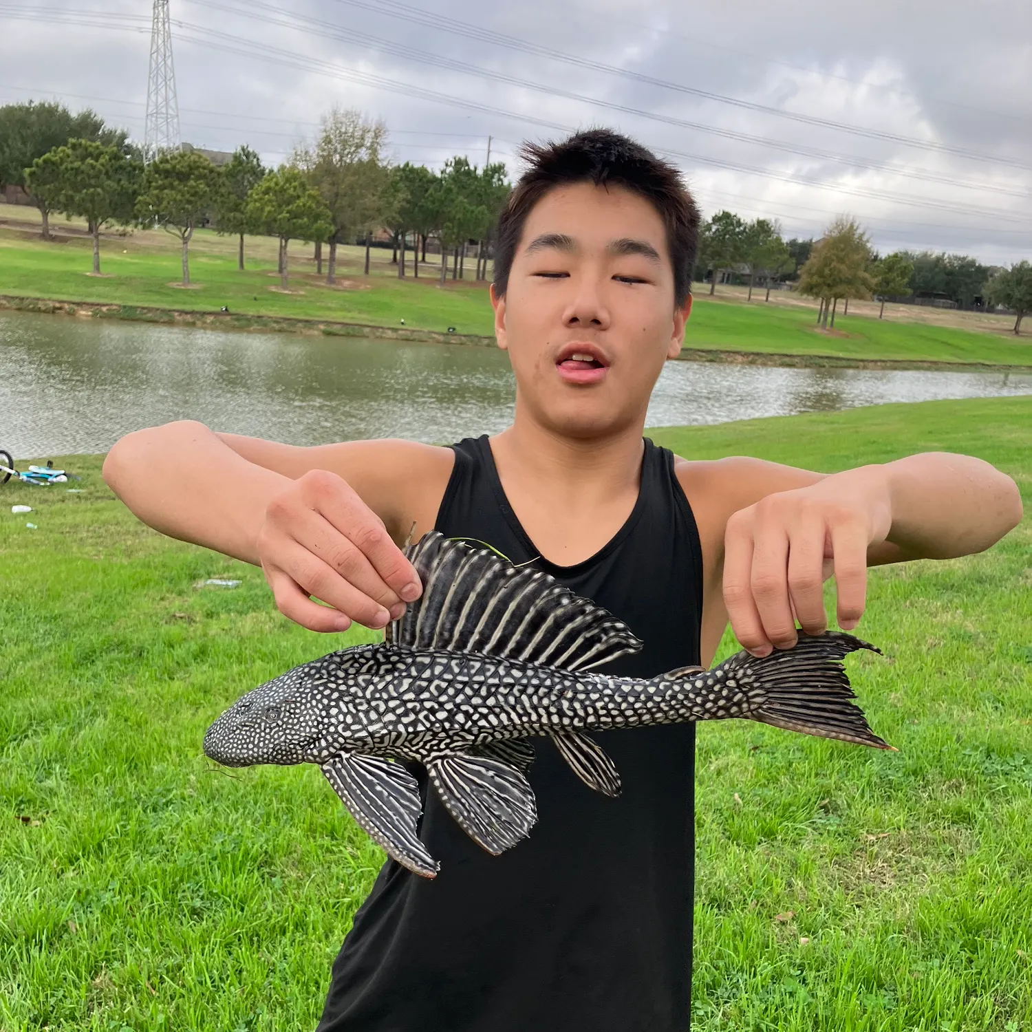 The most recent Suckermouth catfish catches on Fishbrain
