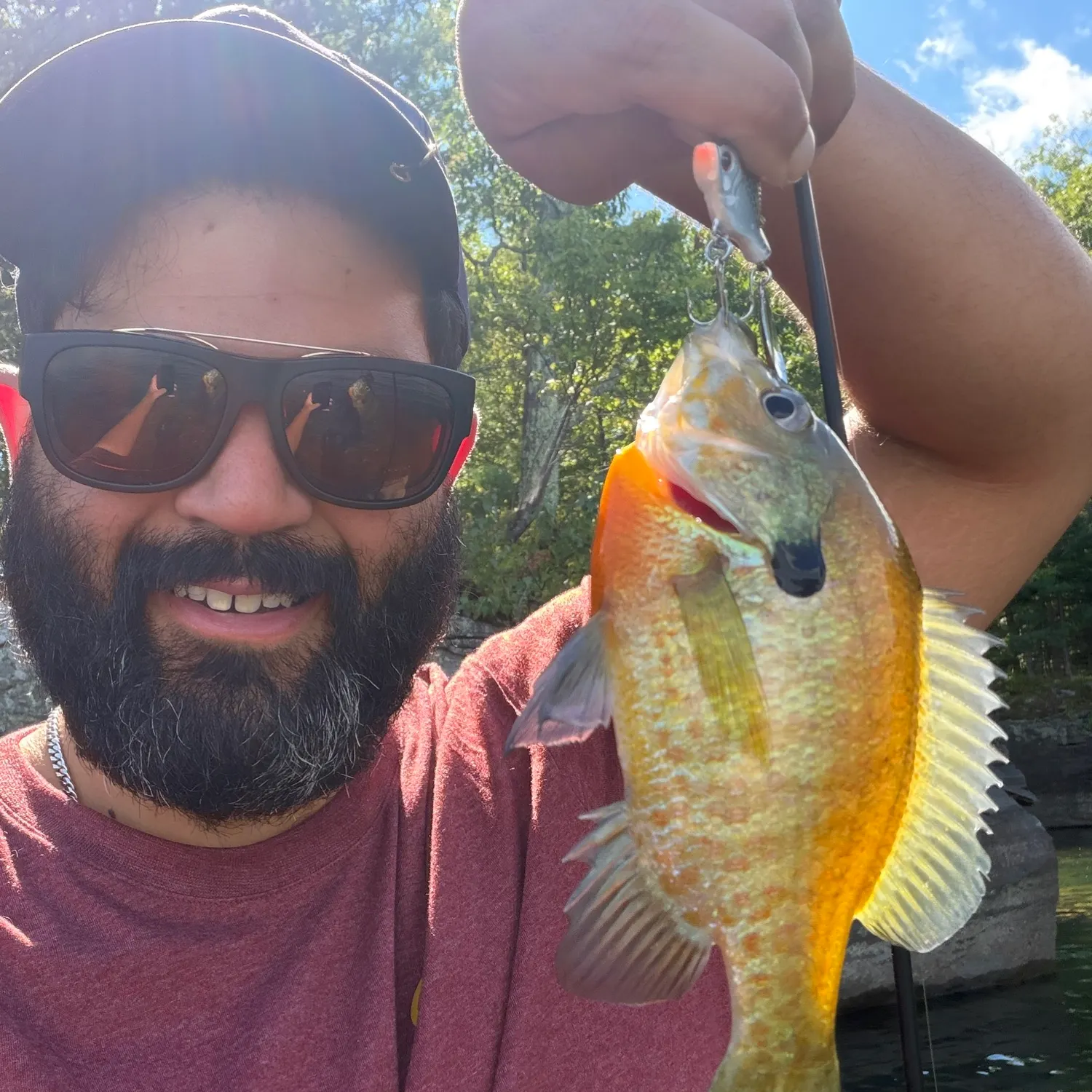 Redbreast sunfish caught on Fishbrain