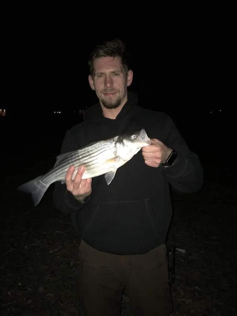 Post image from jrosen610