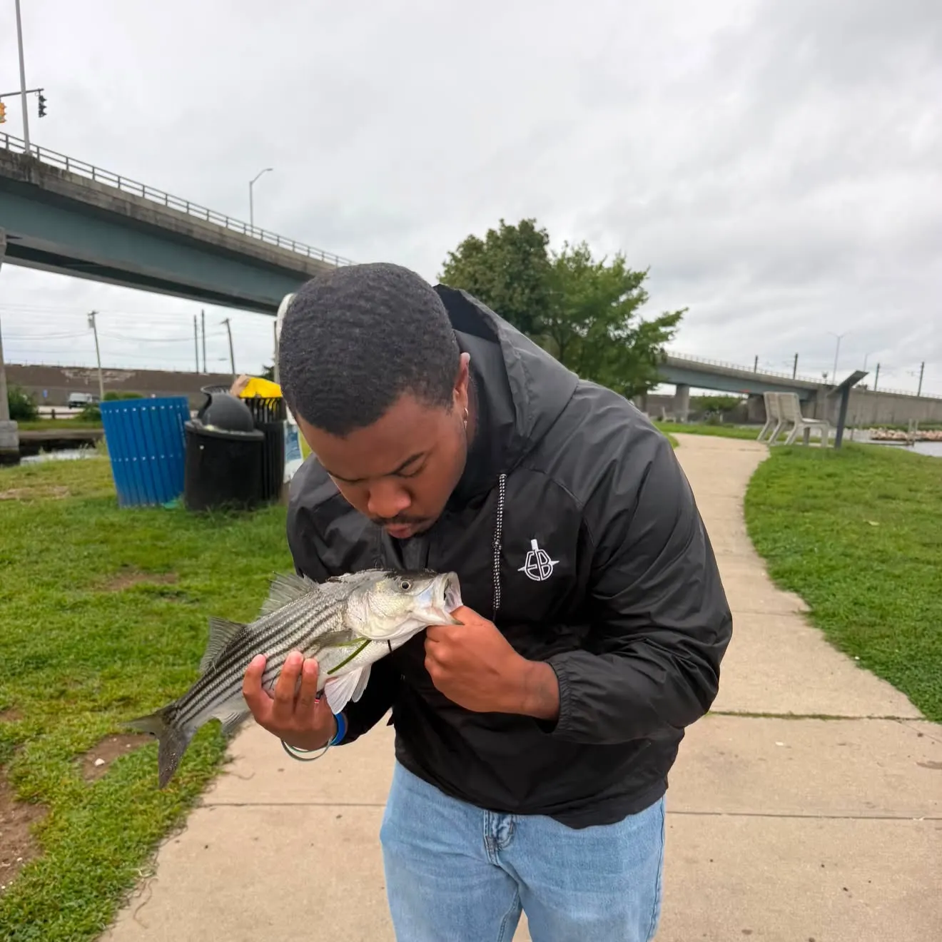 Striped bass caught on Fishbrain