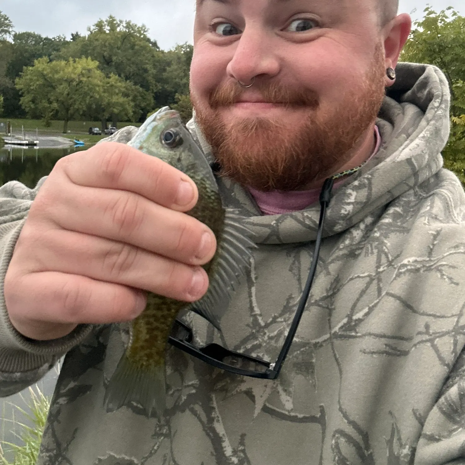 Bluegill caught on Fishbrain