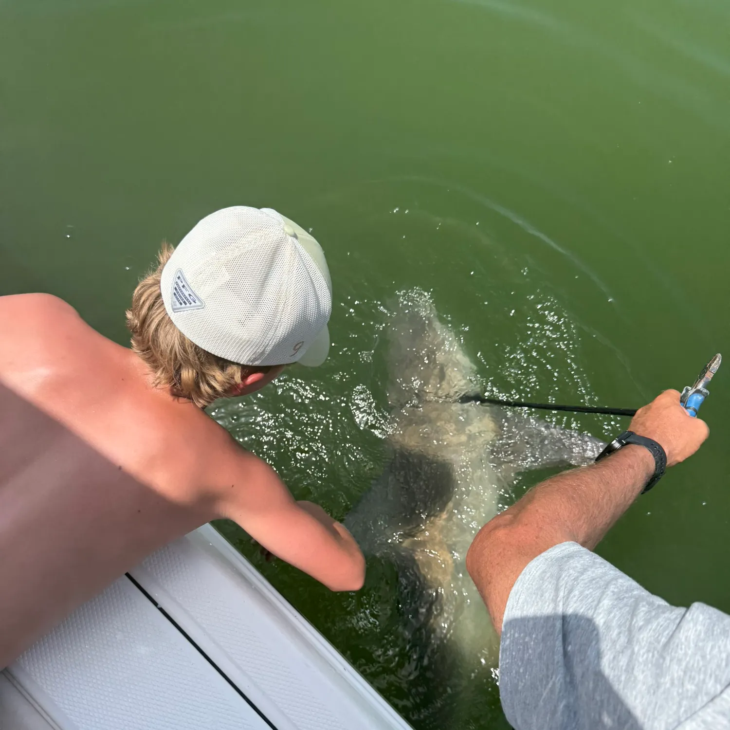 catch