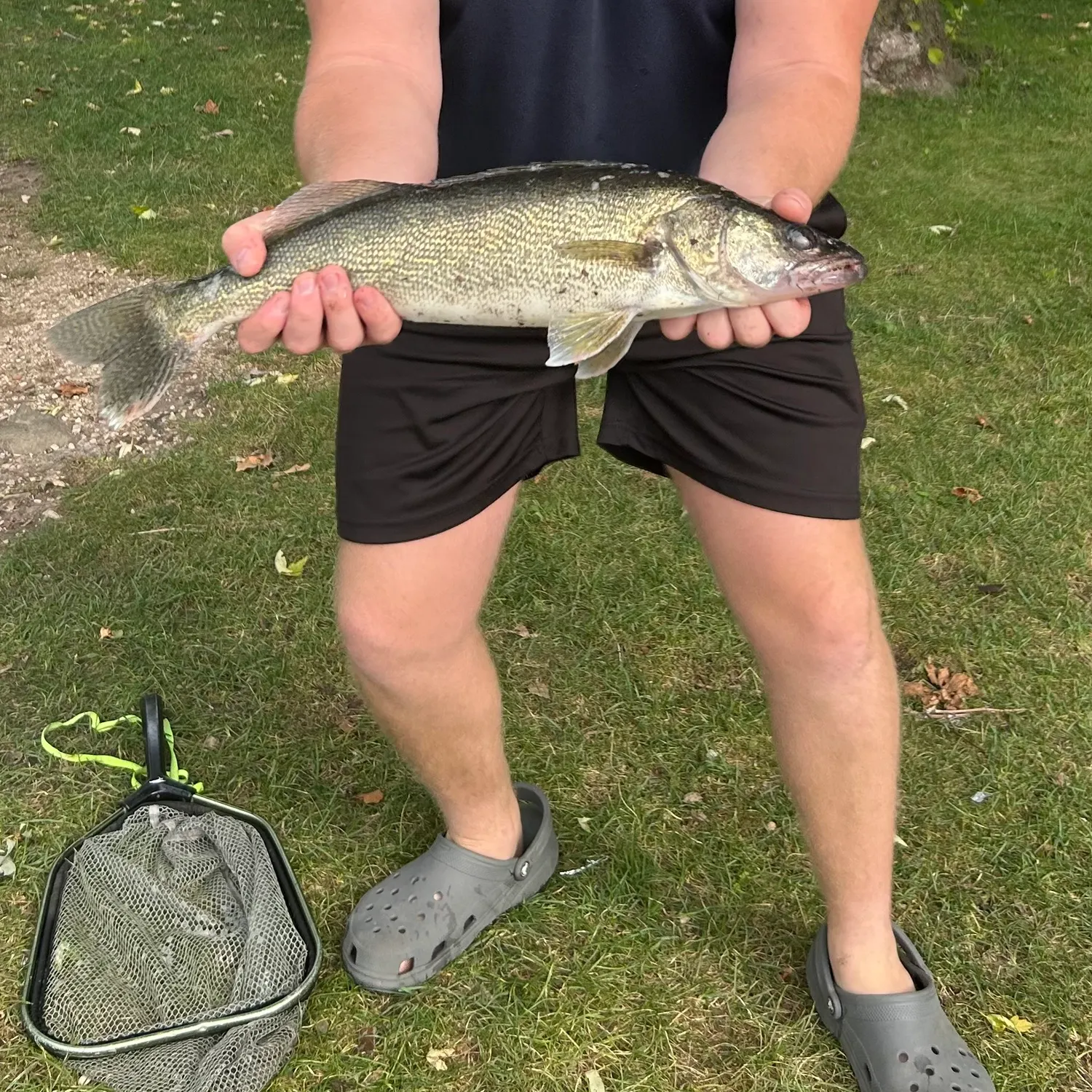 Walleye caught on Fishbrain