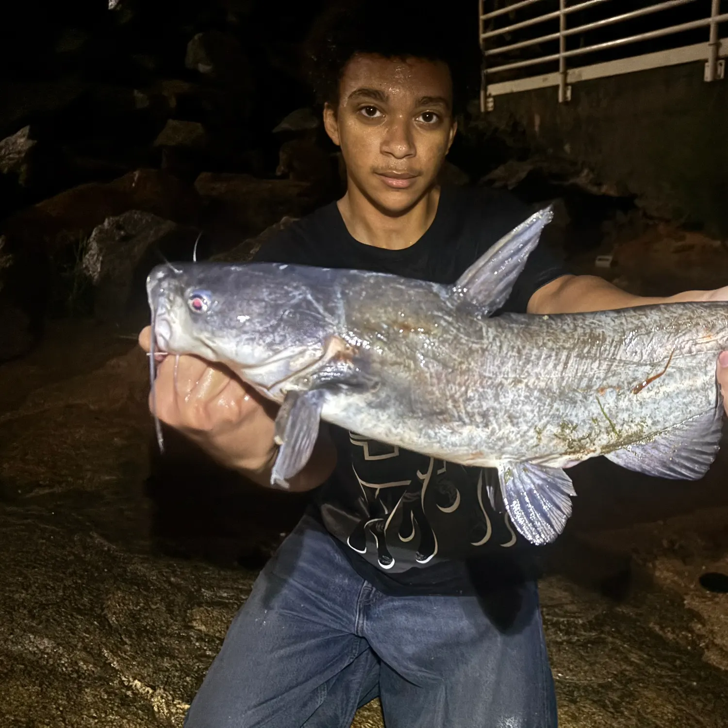 Blue catfish caught on Fishbrain
