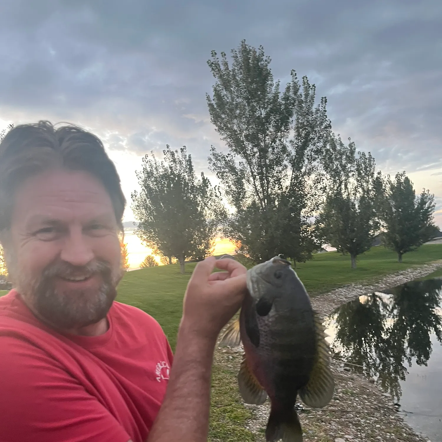 Bluegill caught on Fishbrain
