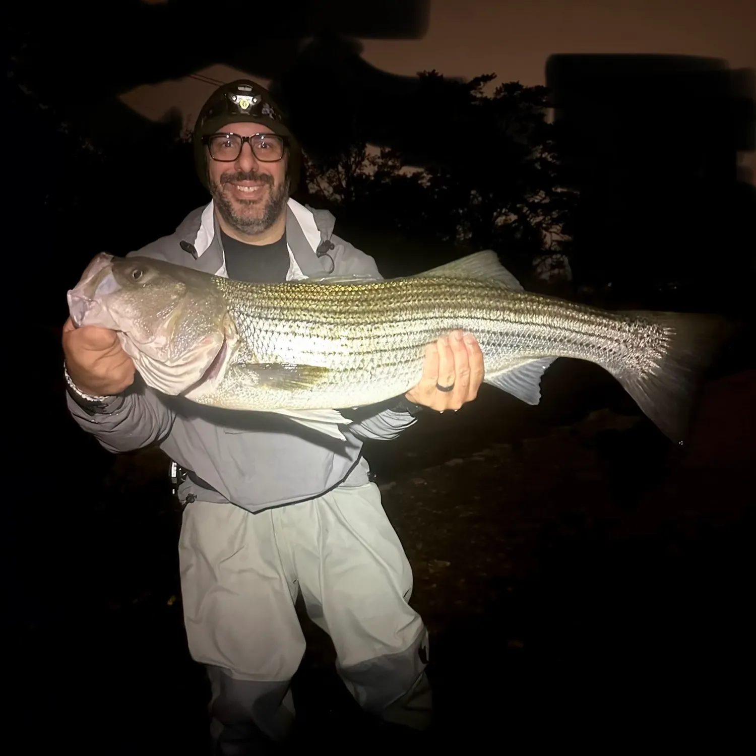 Striped bass caught on Fishbrain