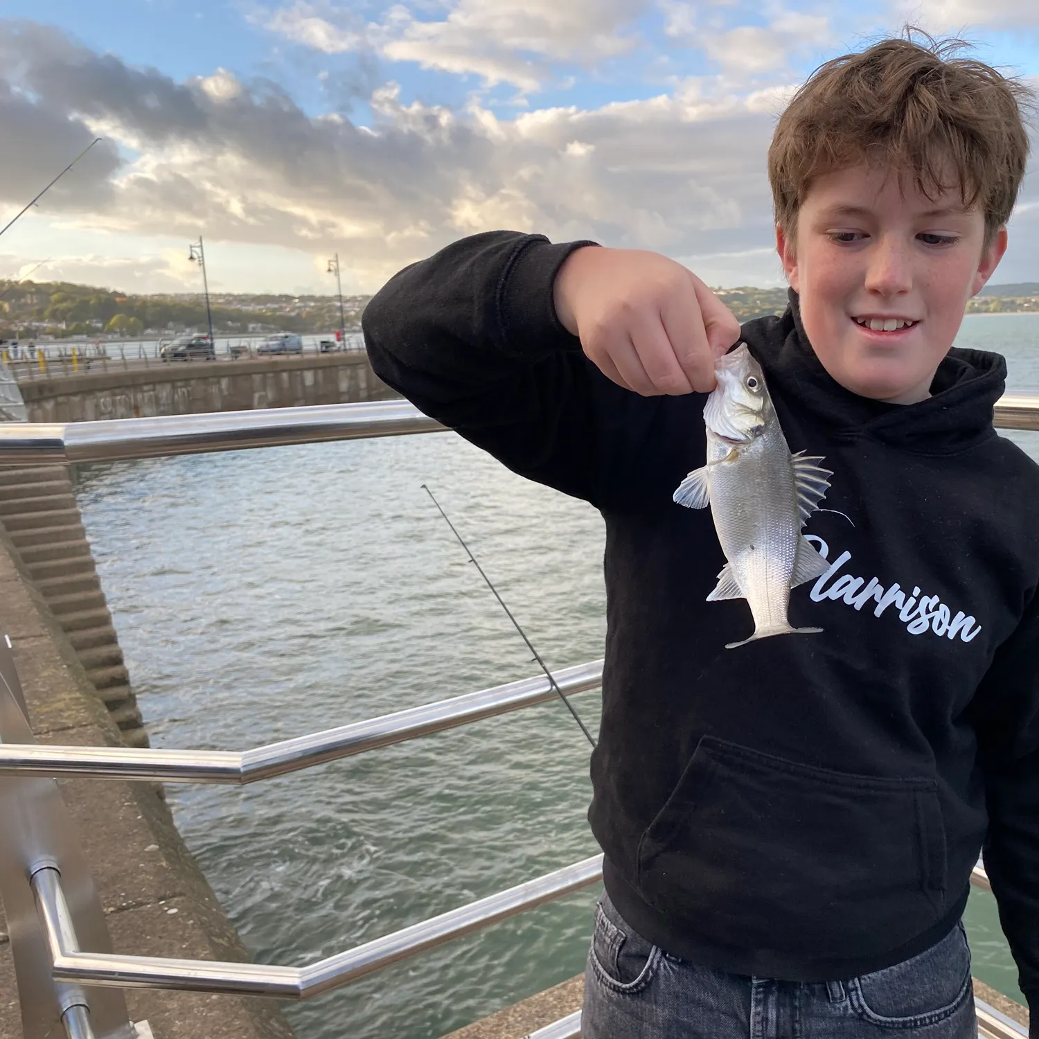 European seabass caught on Fishbrain