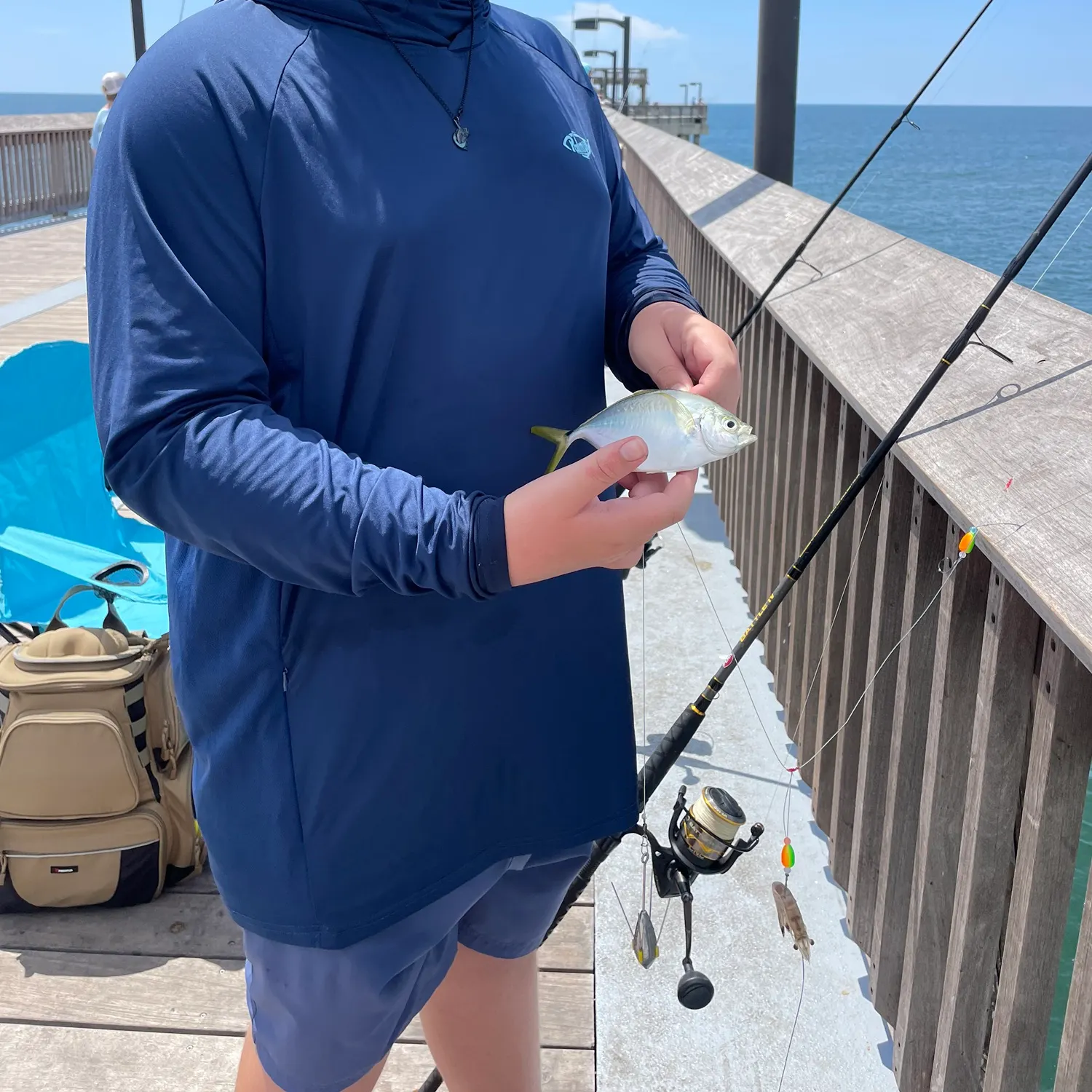 The most recent Atlantic bumper catches on Fishbrain