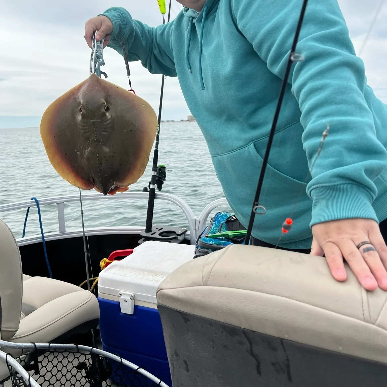 The most recent Atlantic stingray catches on Fishbrain