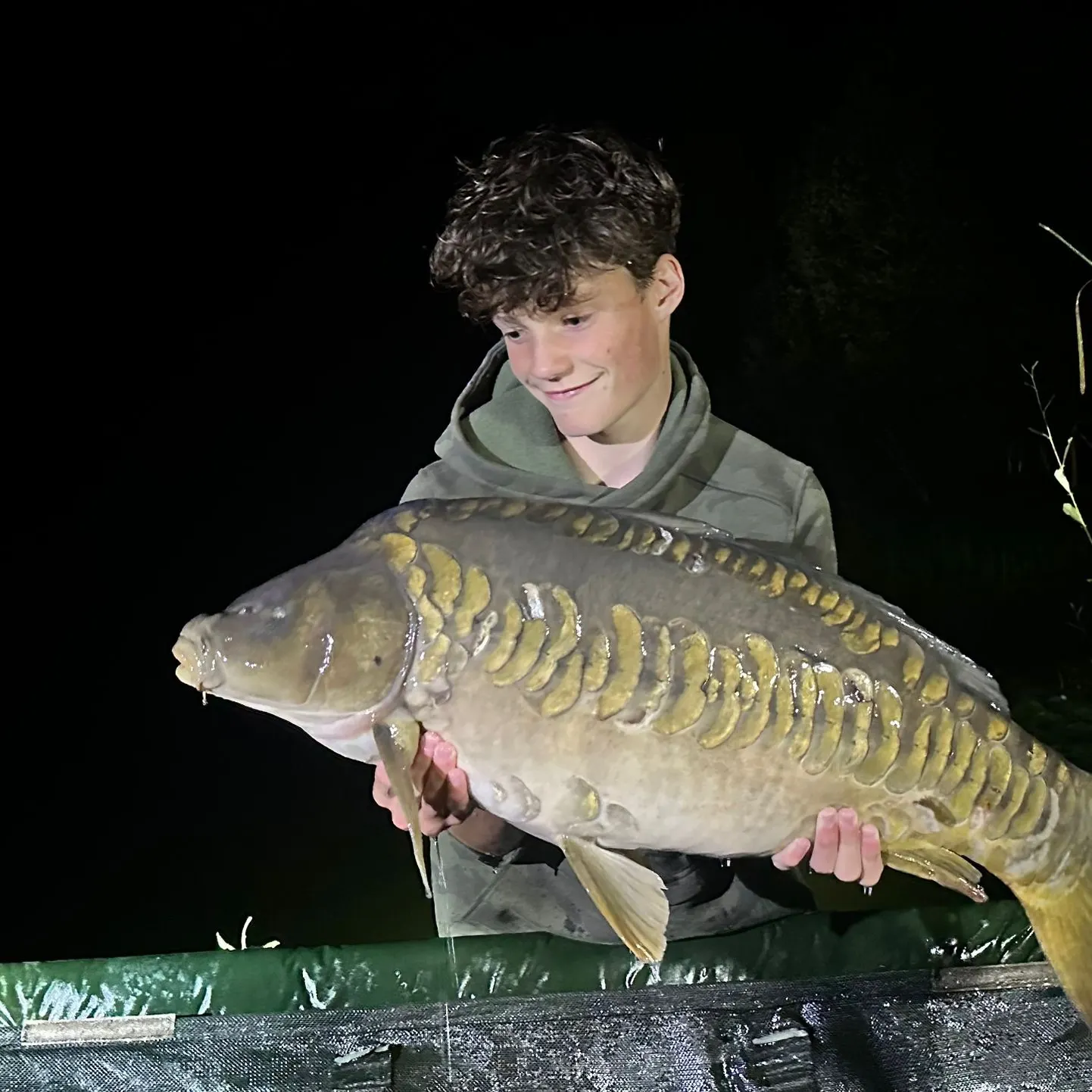 The most recent Mirror carp catches on Fishbrain