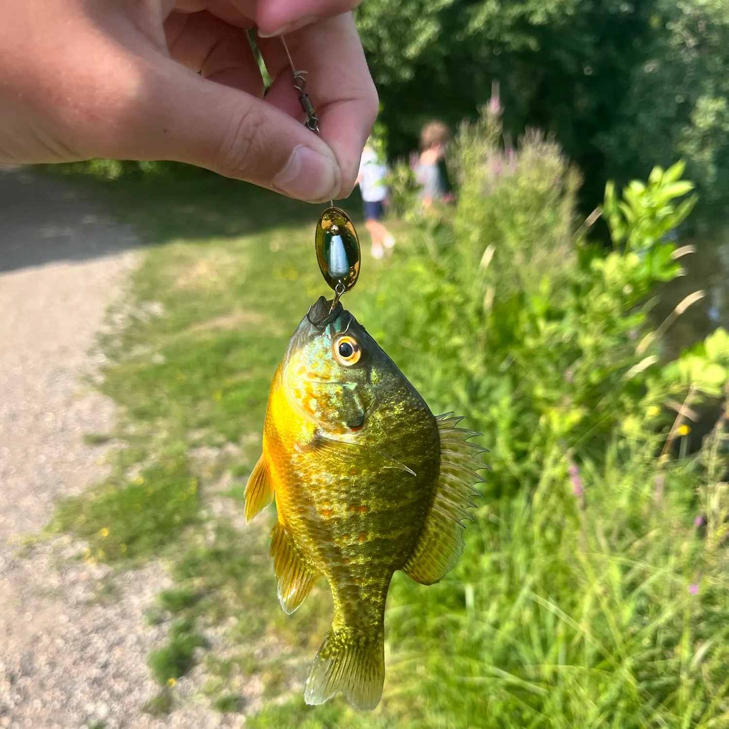 catch