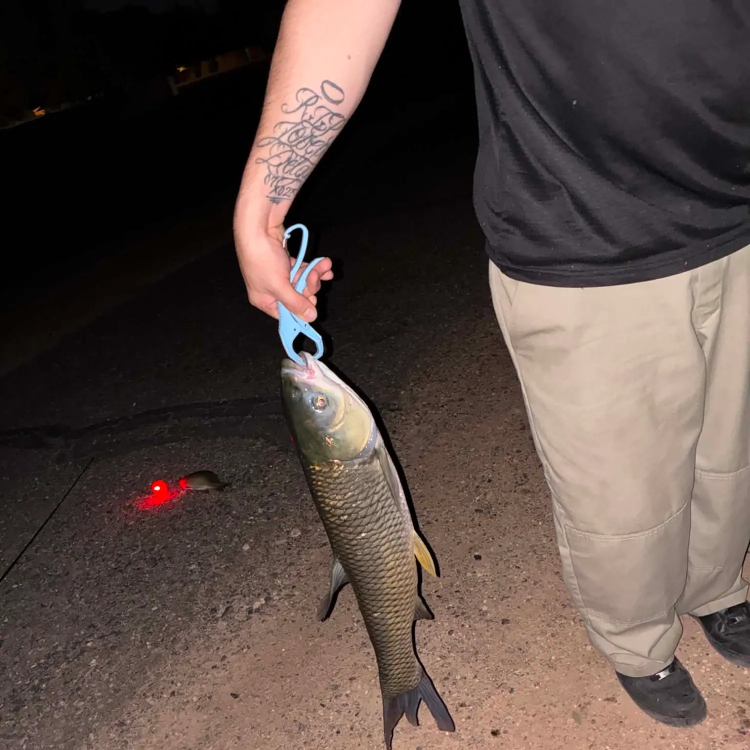 The most recent Grass carp catches on Fishbrain