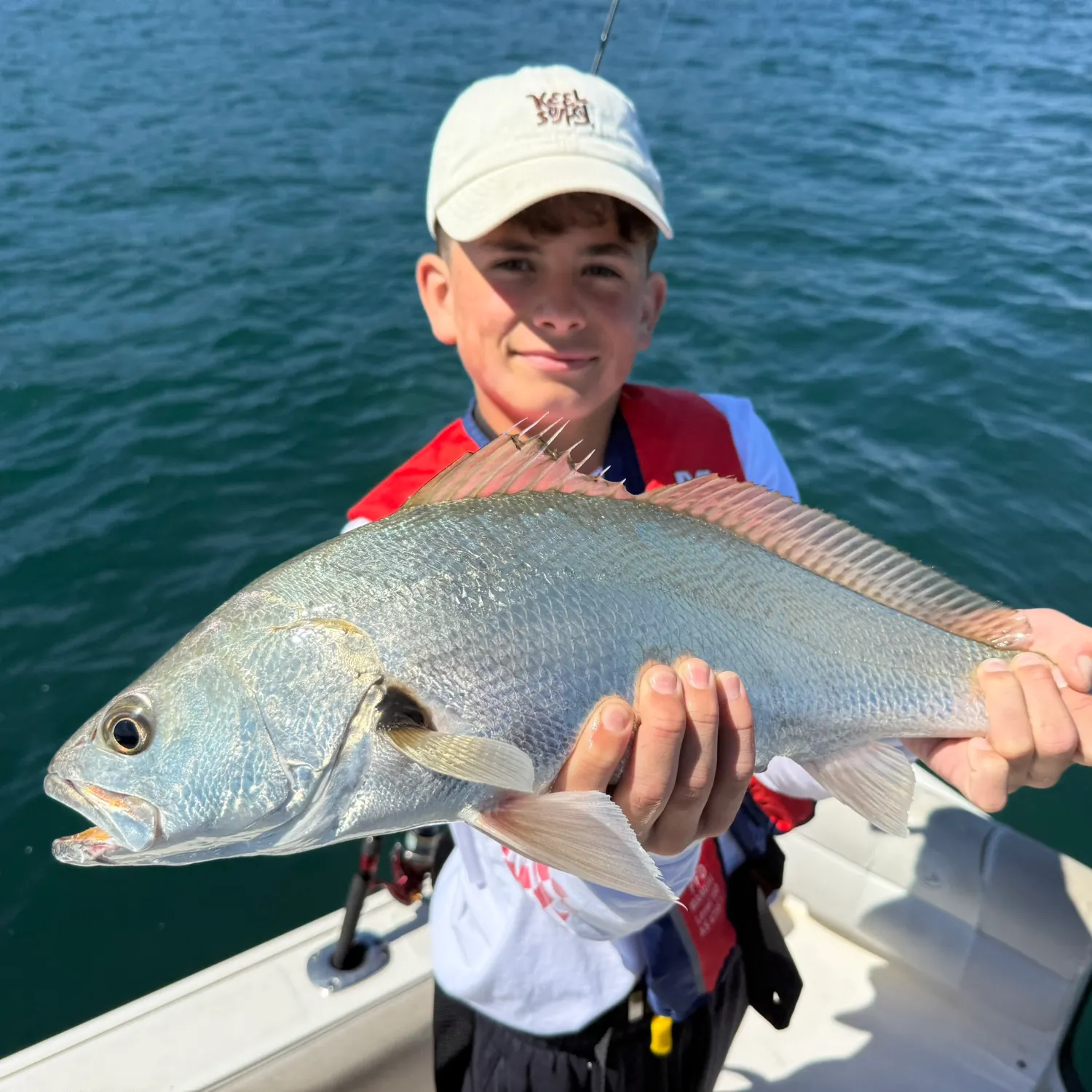 Japanese meagre caught on Fishbrain
