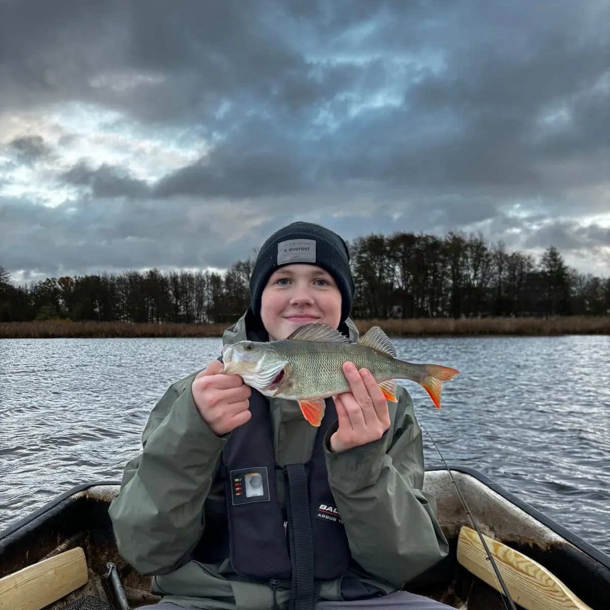European perch caught on Fishbrain