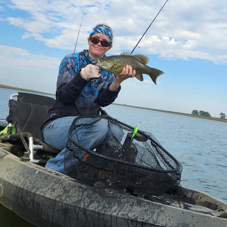 Smallmouth bass caught on Fishbrain